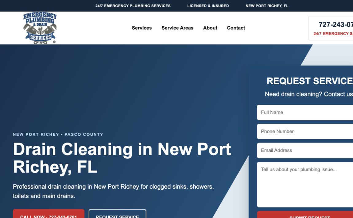 Emergency Plumbing And Drain Services website section